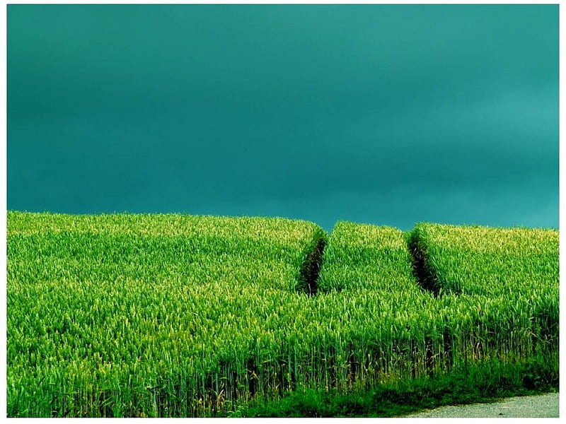 Green Fields Cool Fields Green Hd Wallpaper Peakpx