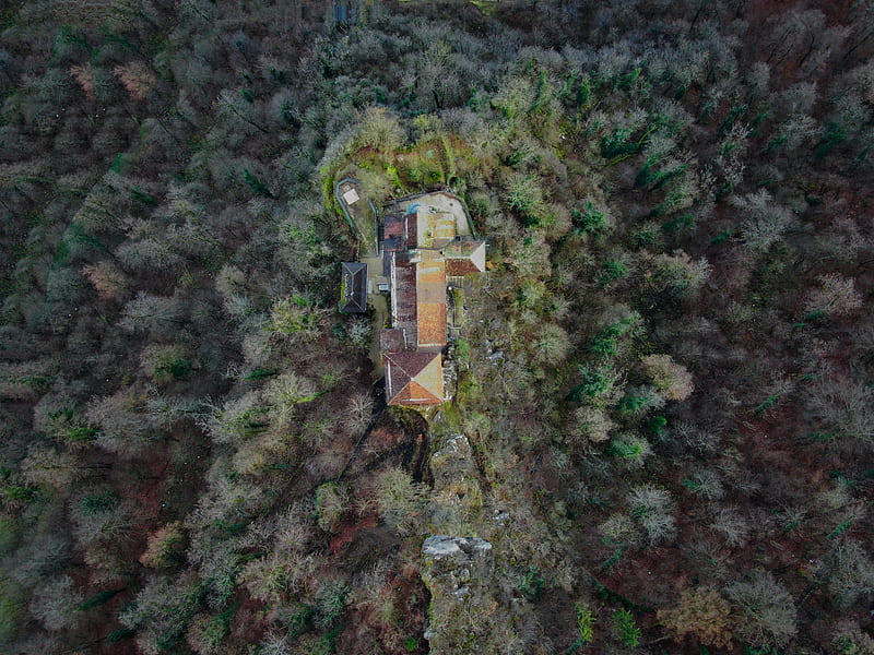 aerial graphy of brown house in middle of woods, HD wallpaper
