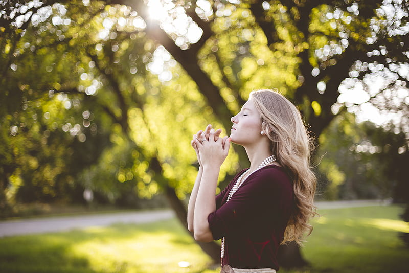 woman praying under tree during daytime, HD wallpaper
