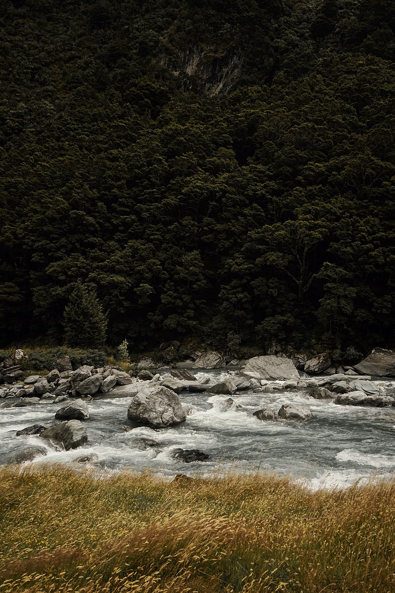 river, current, stones, trees, grass, HD phone wallpaper