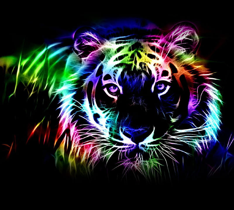 HD tiger light wallpapers  Peakpx