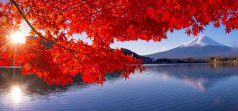 Autumn in Japan, bonito, Fuji, lake, fall, autumn, sun, japan, mountain, tree, rays, branches, HD wallpaper