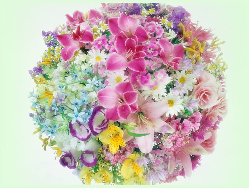Medley - Pick one, variety, circle, colors, yellow, purple, aqua, flowers, white, pink, HD wallpaper