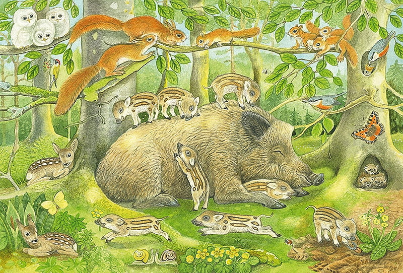 Sleeping Mom, rodents, pig, puzzle, wild, HD wallpaper