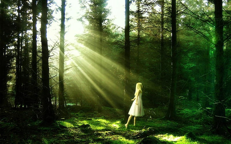 Alice in wonderland, forest, sun, fairy tale, grass, alice in wonderlad, blonde, magic, trees, believe, girl, green, beauty, sunshine, miracle, ray, HD wallpaper