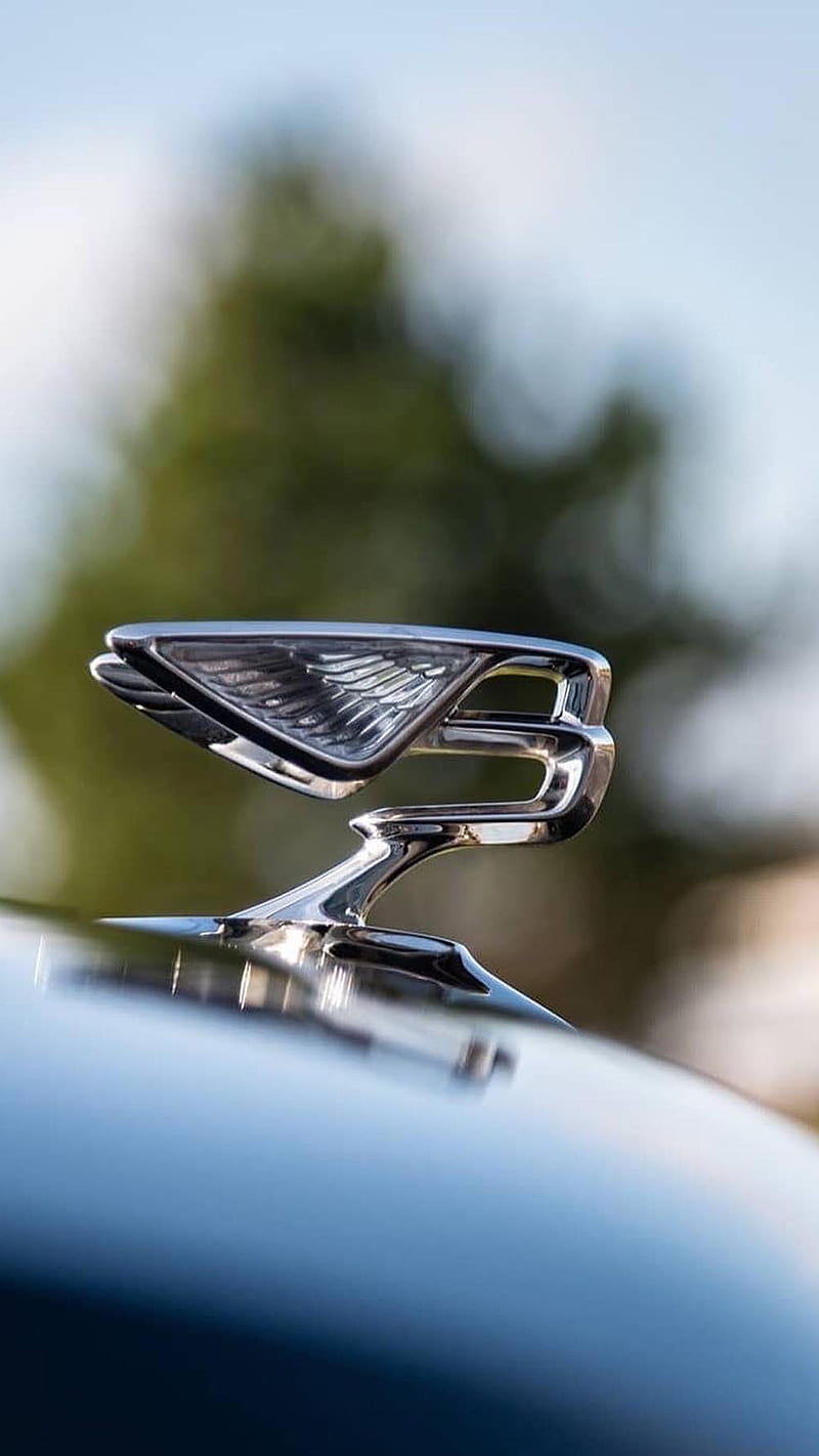 Bentley Emblem, car, logo, HD phone wallpaper | Peakpx