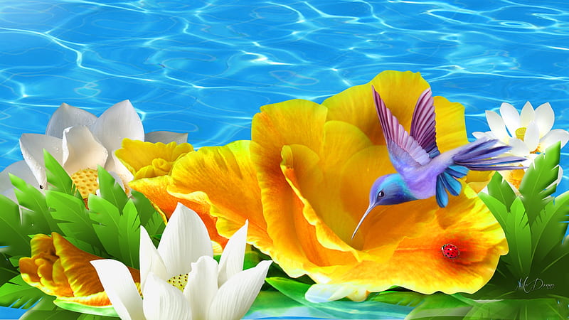 Water Lilies So Sweet, water lilies, lake, Firefox theme, pond, lily pads, summer, hummingbird, HD wallpaper