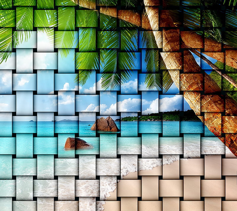 Paradise Twist, tropical, HD wallpaper