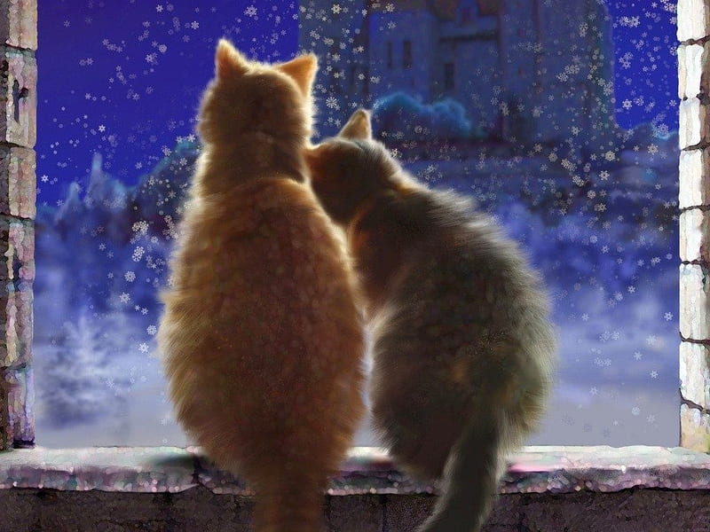 cats-cat-love-sill-castle-window-art-couple-snowflakes-winter-night--persian, Schnee, Freunde, Cats, Deutschland, Festerbank, HD wallpaper