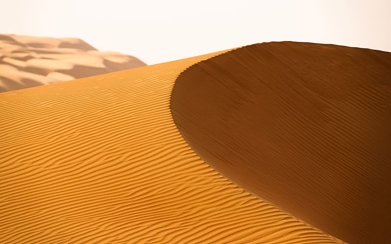 Texture Drought Desert Golden Sands Macro, HD wallpaper