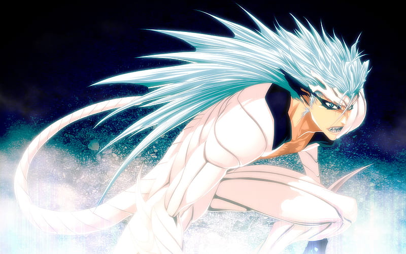 Bleach Grimmjow Pantherform