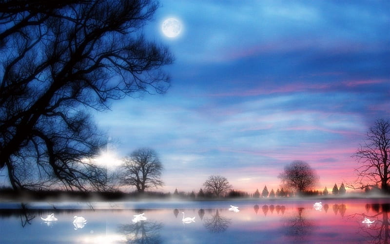 SWANS AT DUSK, dusk, sunset, trees, clouds, lake, swans, moon ...