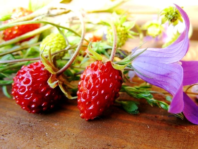Strawberry, table, delicious, fresh, spring, sweet, fruit, graphy, purple, tasty, flower, color, garden, nature, natural, HD wallpaper