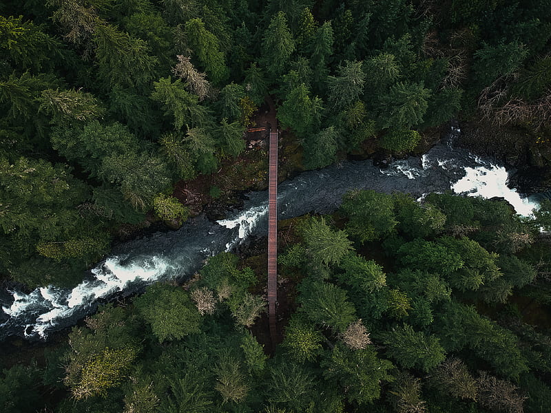 aerial of bridge over river, HD wallpaper