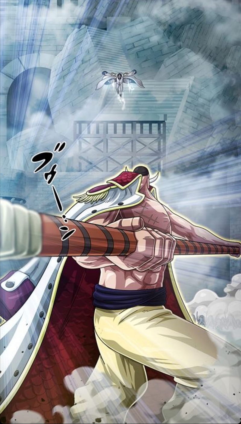 Whitebeard 1080P 2K 4K 5K HD wallpapers free download  Wallpaper Flare