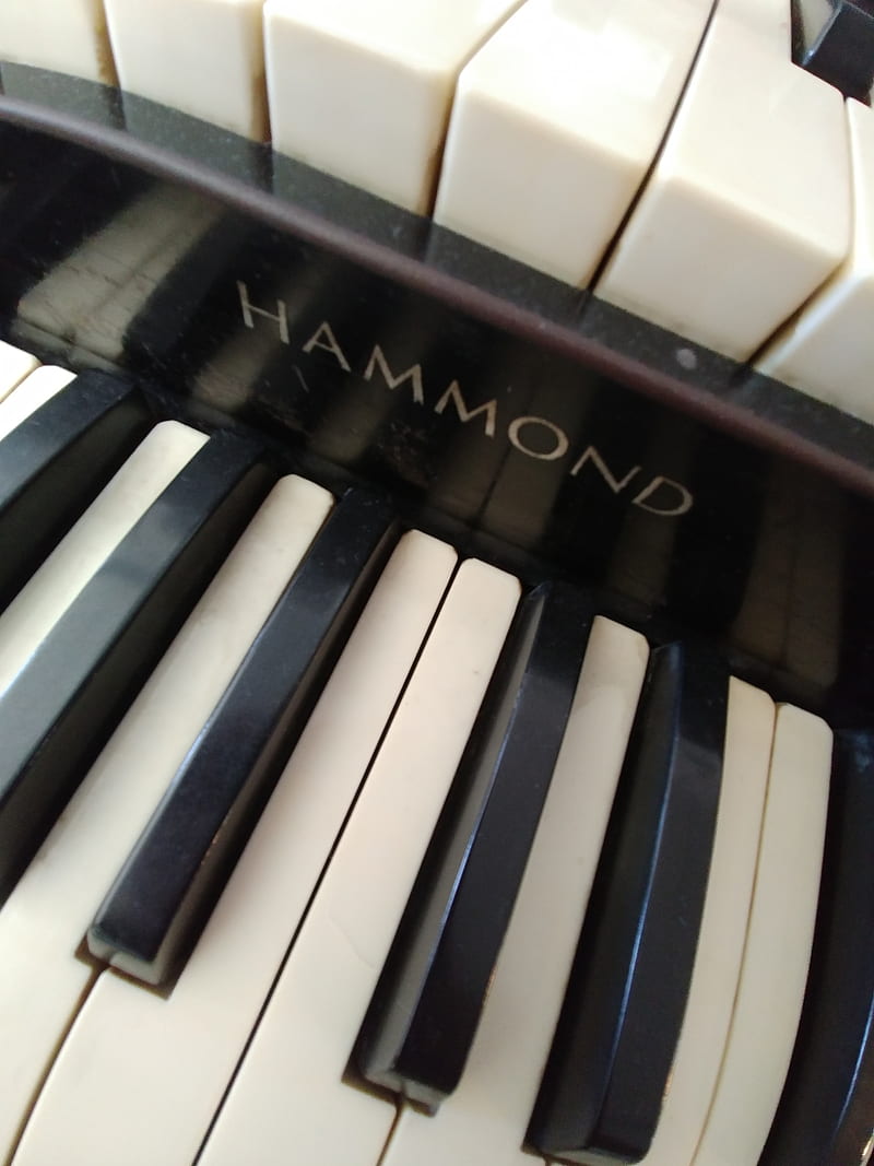 Hammond Keyboard, black, black and white, keyboard, music, organ, piano, white, HD phone wallpaper