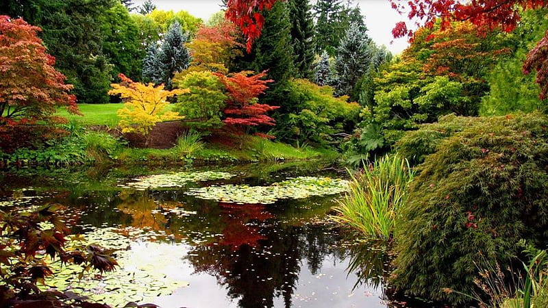 Beautiful Scenery Nature Pond Surrounded By Colorful Trees Reflection ...