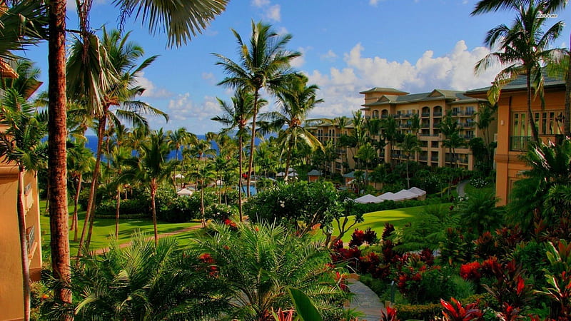 beautiful hawaiian hotel, hotel, flowers, trees, grass, HD wallpaper