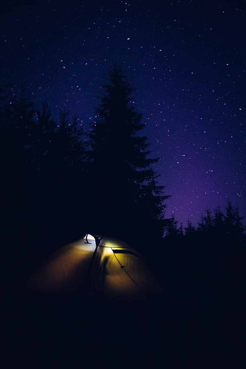 tent, camping, night, nature, dark, HD phone wallpaper