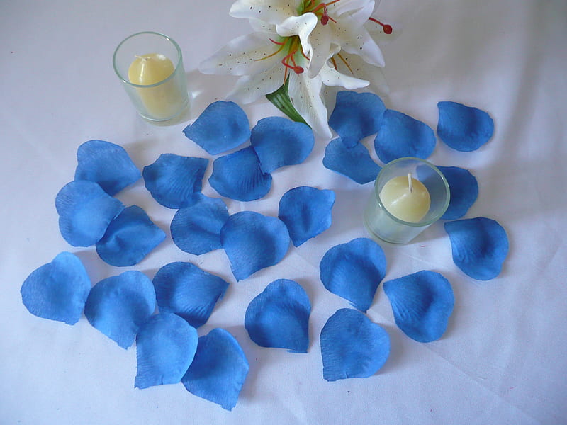 Blue, candle, albastru, lumanari, interior, home, vela, casa, blue, flower,  lily, HD wallpaper | Peakpx