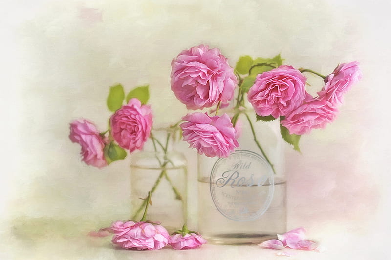 Roses Flower Glass Rose Pink Still Life Hd Wallpaper Peakpx