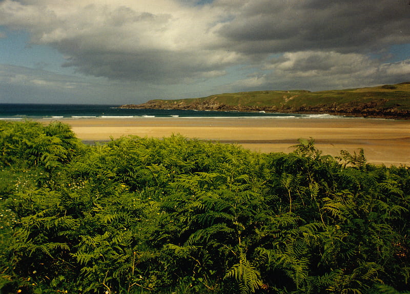 Beach With Bracken, armadale, fantastic, clouds, bracken, sea, sand, ferns, wild, bettyhill, scotland, HD wallpaper