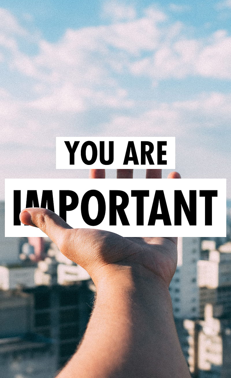 You are important, back, down, look, love, never, quotes, right, success, work, HD phone wallpaper