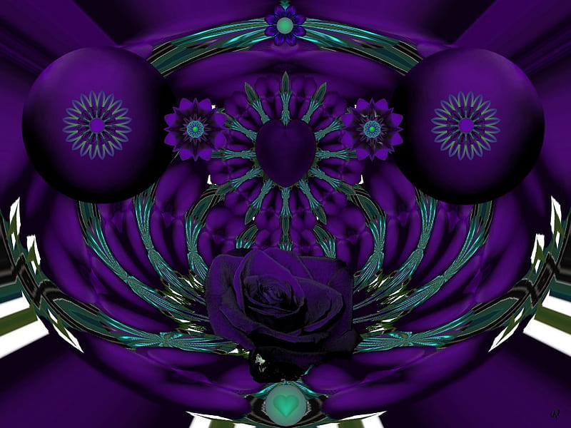 Purple Rose, 3d, fractal, collage, abstract, eye candy, HD wallpaper ...