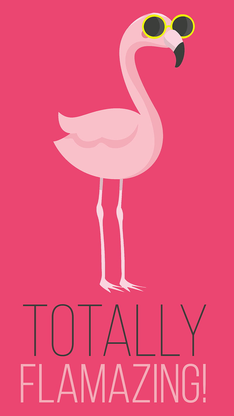 Cute Flamingo Wallpapers  Cute Wallpapers APK for Android Download