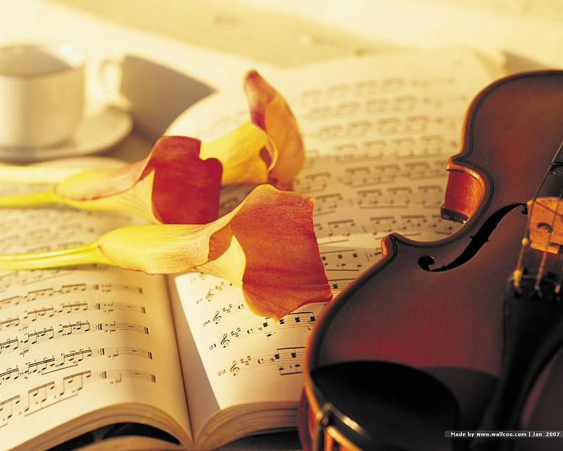 Flowers for my friend WhiteKnight, cala lily, flowers, violin, music, HD wallpaper