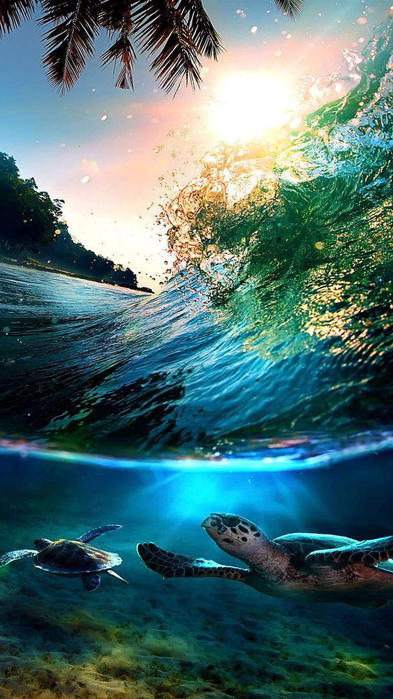 Turtles In The Sea, waves, turtle, under, wave, beach, HD phone wallpaper
