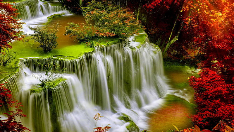 Top Angle View Of Greenery Stream Waterfalls Surrounded By Colorful Autumn Trees Nature, HD wallpaper