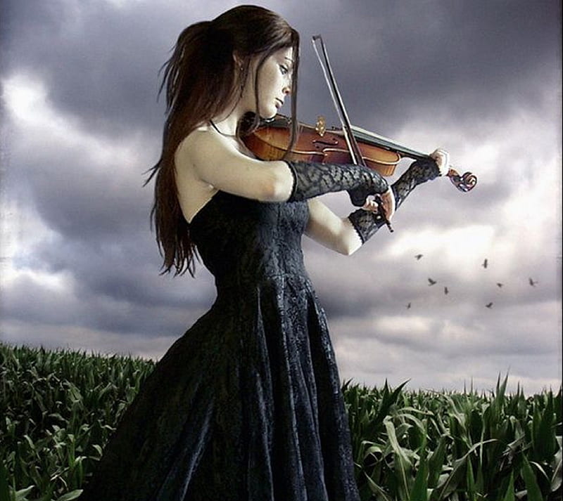 girl with violin, girl, violin, HD wallpaper
