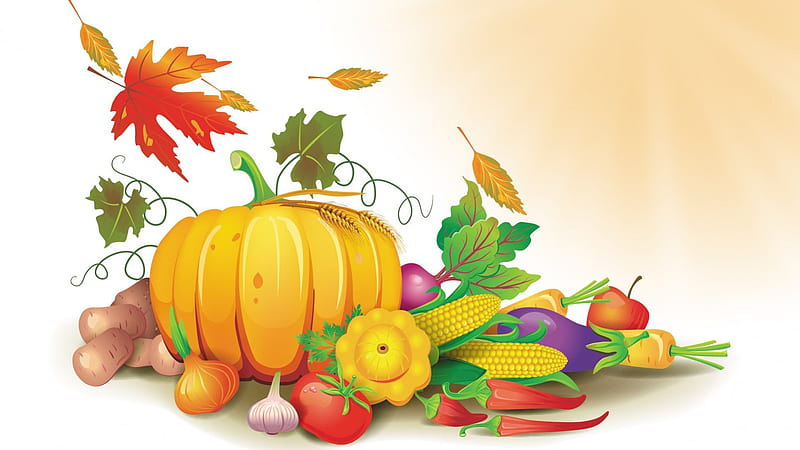 Harvest Festival Gold, fall, autumn, farm, leaves, onions, harvest, fresh, country, squash, gourds, thanksgiving, healthy, simple, garden, mushrooms, organic, garlic, vegetables, pumpkins, HD wallpaper