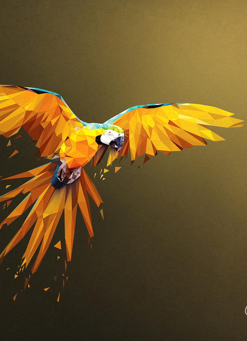 Macaw, flight, low poly, art, , iPhone 4, iPhone 4S, iPod touch, HD phone  wallpaper | Peakpx