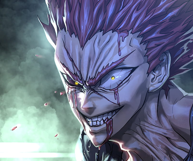 Awakened Garou, one punch man, kylokun, hero hunter, awakened garou, opm,  HD phone wallpaper