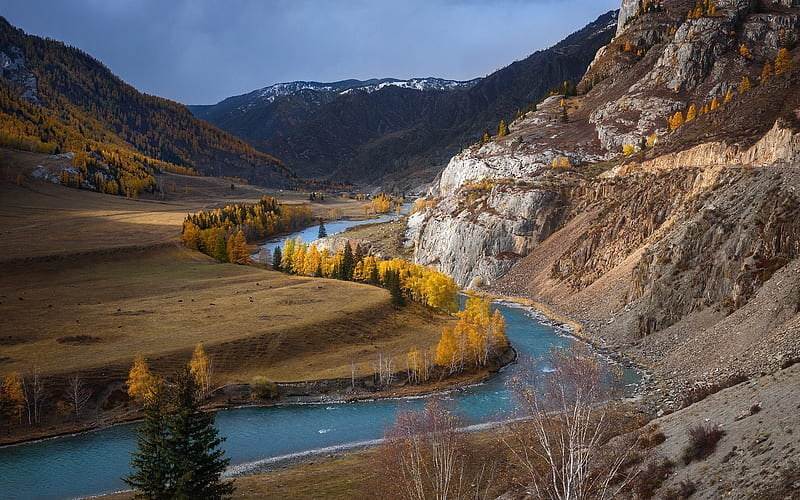 mountain river, autumn, mountain landscape, yellow trees, forest, USA, HD wallpaper
