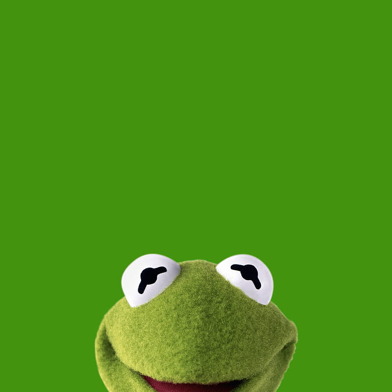 Kermit, frog, funny, HD phone wallpaper