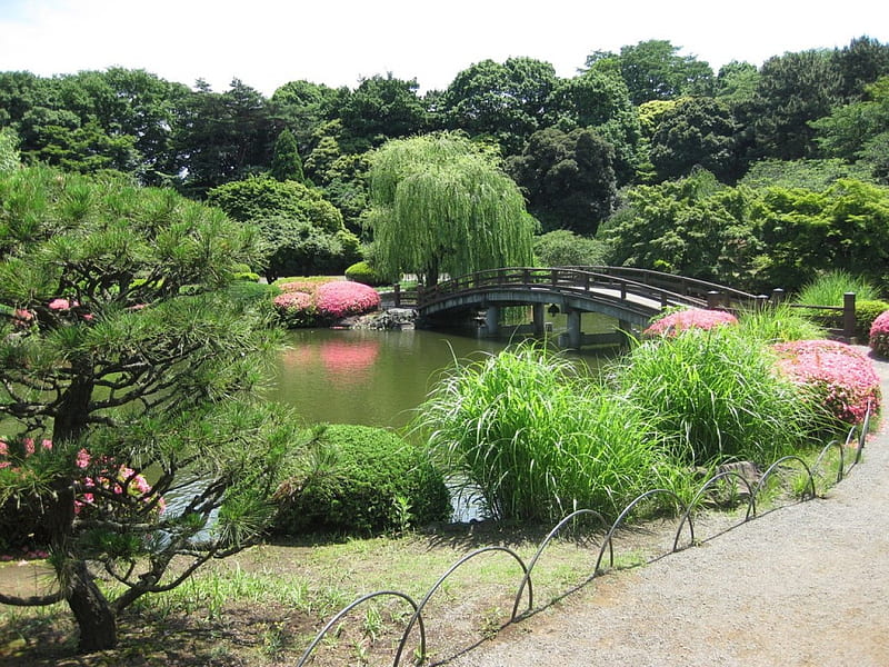Shinjuku Gyoen, japan, japanese, shinjuku, tokyo, garden, nature, park, lake, HD wallpaper