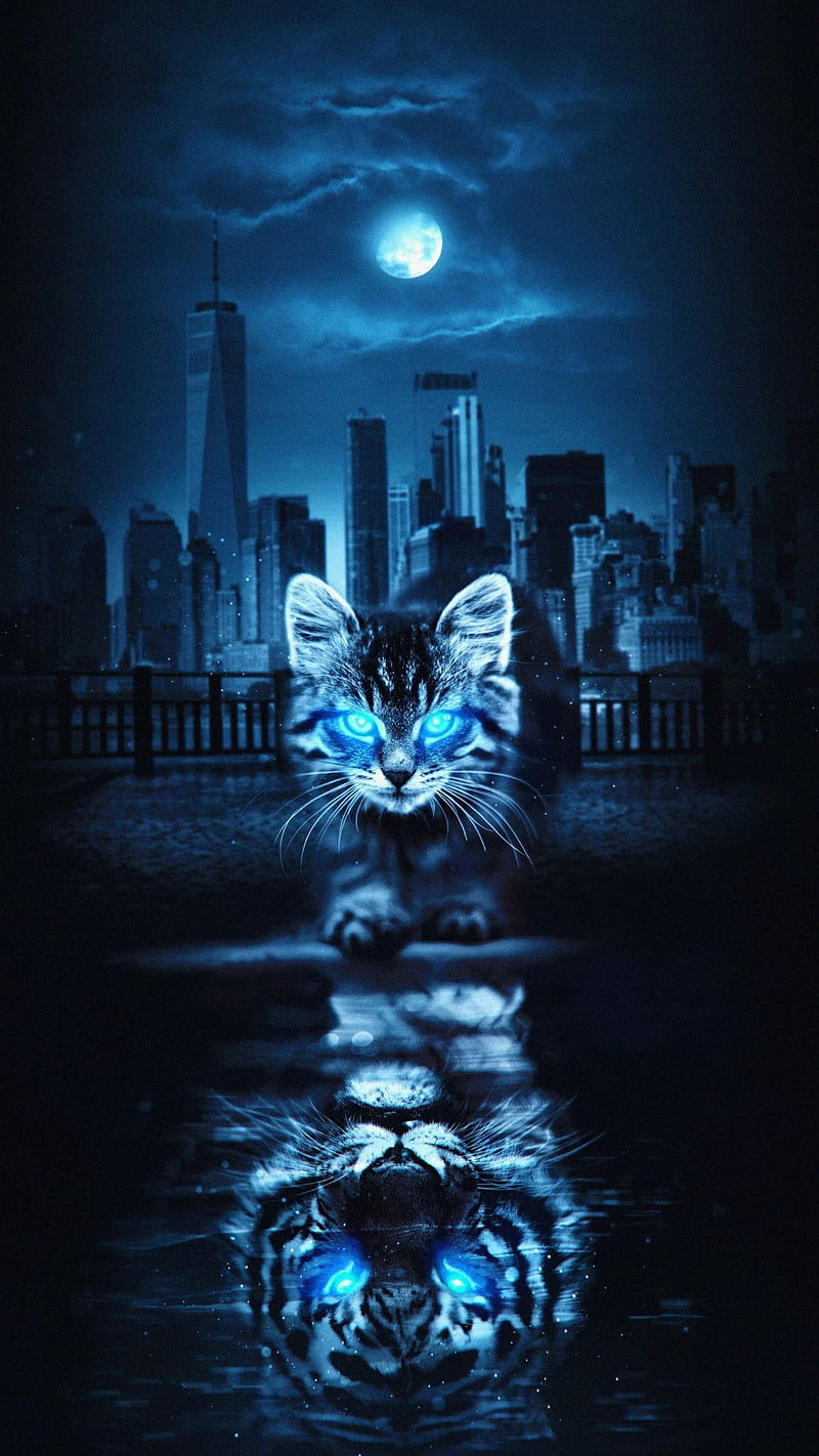My reflection, animals, blue, blue moon, cat, city, eye, light, tiger, water, HD phone wallpaper