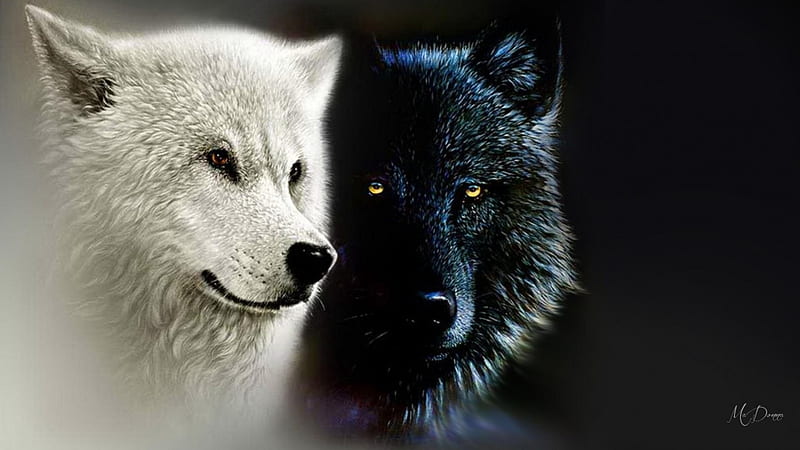 White Native American and Totem, black, white, wolves, animal, totem, HD wallpaper