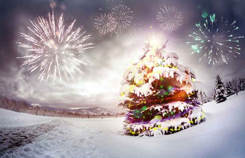 Celebration, Christmas, new year, park, trees, sky, lights, garland, pine, snow, fireworks, snowfall, trail, fir, road, HD wallpaper