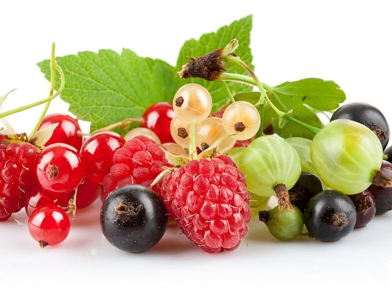 BERRY SEASON, fruit, food, rasberries, blueberries, seasons, refreshments, HD wallpaper