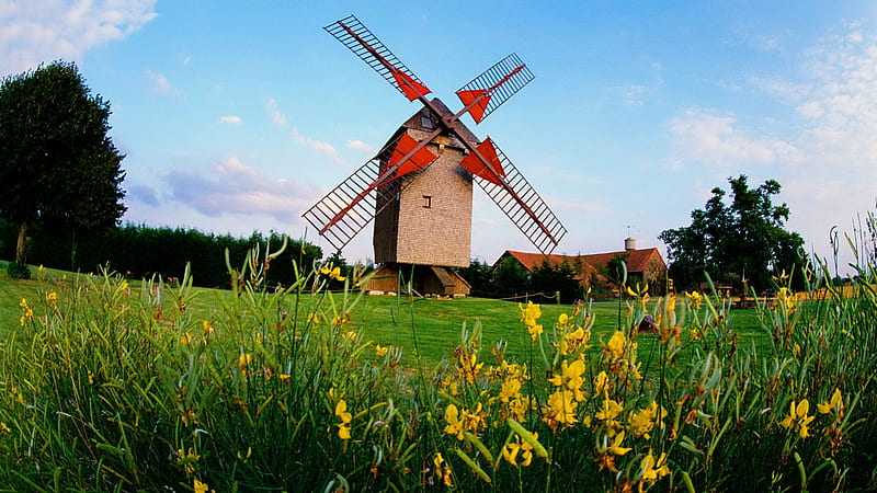 Windmill, pretty, lovely, mill, grass, wind, greenery, bonito, sky, nice, green, flowers, nature, field, meadow, HD wallpaper