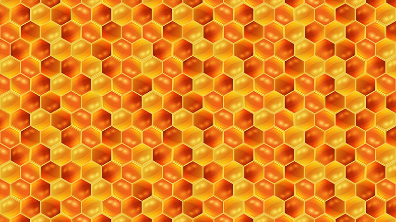Honey Comb , yellow, shine, HD wallpaper