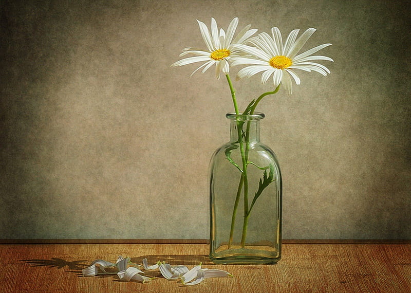 A story for two, flower, flowers, petals, bottle, HD wallpaper