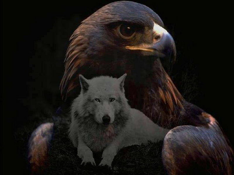 One World, fantasy, wolf, abstract, Eagle, animals, HD wallpaper