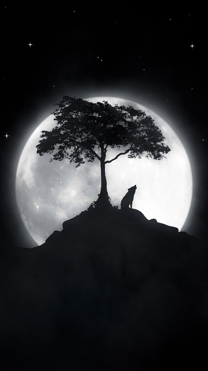 WOLF, 121ayashi121, moonlight, night, stars, tree, HD phone wallpaper
