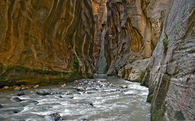 canyon river-river bank landscape graphy, HD wallpaper