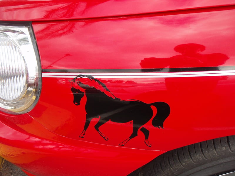 Black horse red car, red, wallpaer, black, black horse, shellandshilo, horse, graphy, cool, sticker, decal, like, HD wallpaper